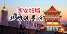 鸡巴插骚逼黄片中国陕西-西安城墙旅游风景区