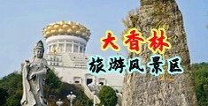 把鸡巴插进逼里的免费视频中国浙江-绍兴大香林旅游风景区
